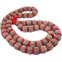 ねこりん　ルドラクシャマーラー　オール2ムキ ねこりん ルドラクシャマーラー オール2ムキ